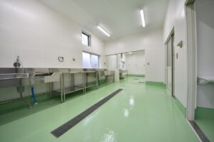 清潔感のあるグリーンの床とステンレス製シンクが並ぶ水産加工室の内部